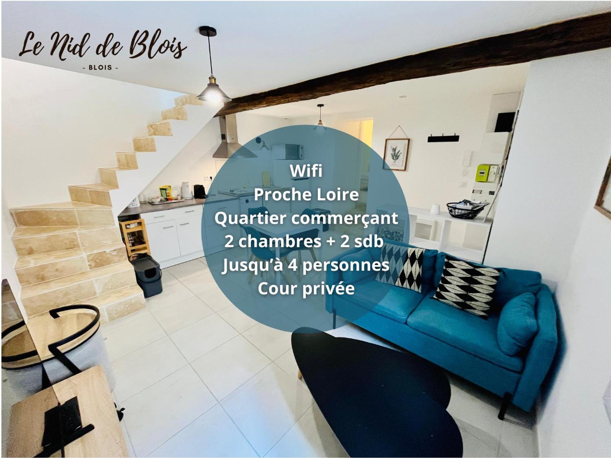 2 Suites, Cour Privee, Climatisation, Le Nid De Blois Vienne Exteriér fotografie